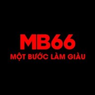 mb66org2